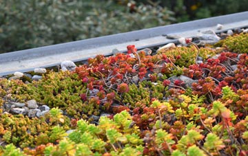 the cost of Sandside green roof installation