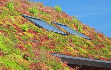 Sandside living roof systems